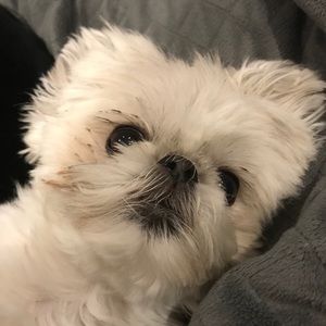 Meet your Posher, Sheri